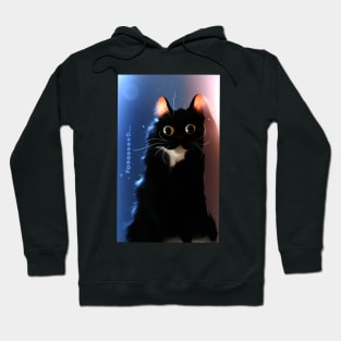 black cat Hoodie